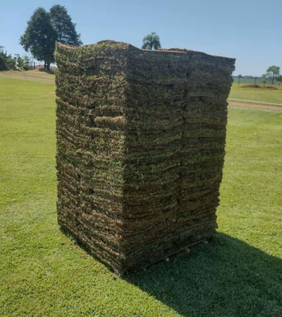 Produção de Grama